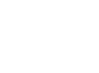 Logo VDZ